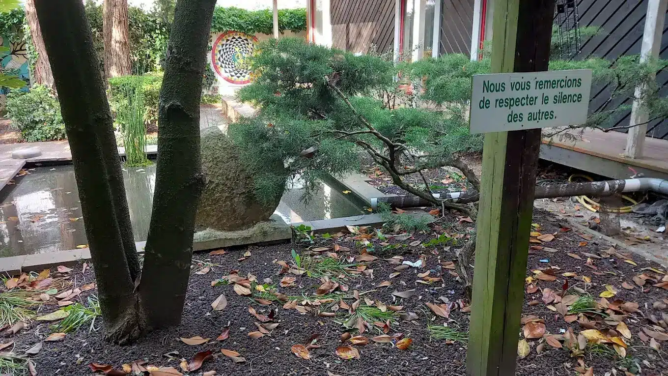 Jardin Intérieur (12)