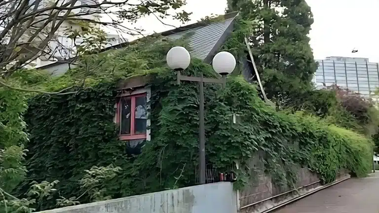 Jardin Intérieur DEVANT