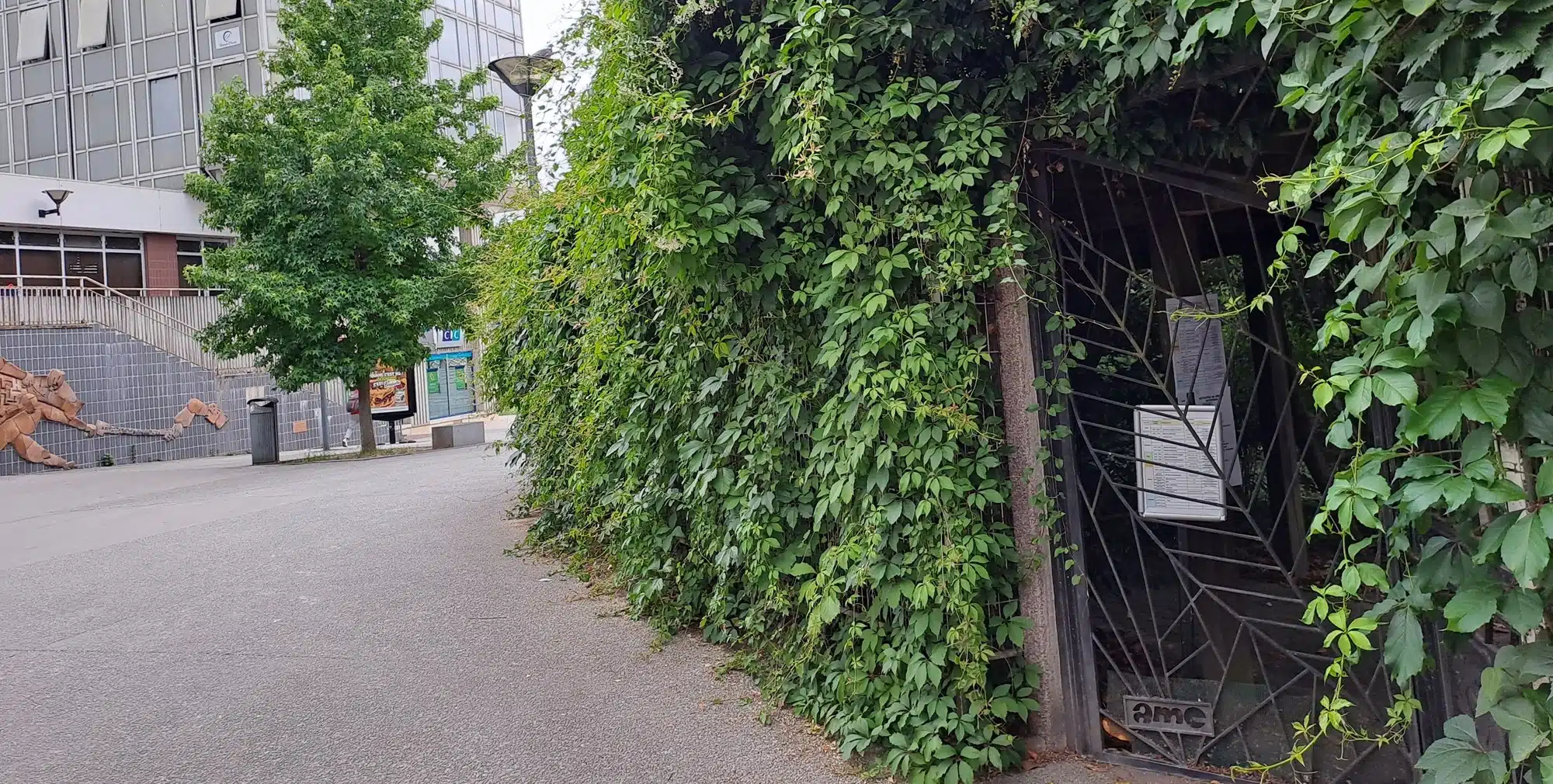 jardin vue exterieure