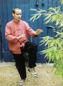 Qi Gong 2