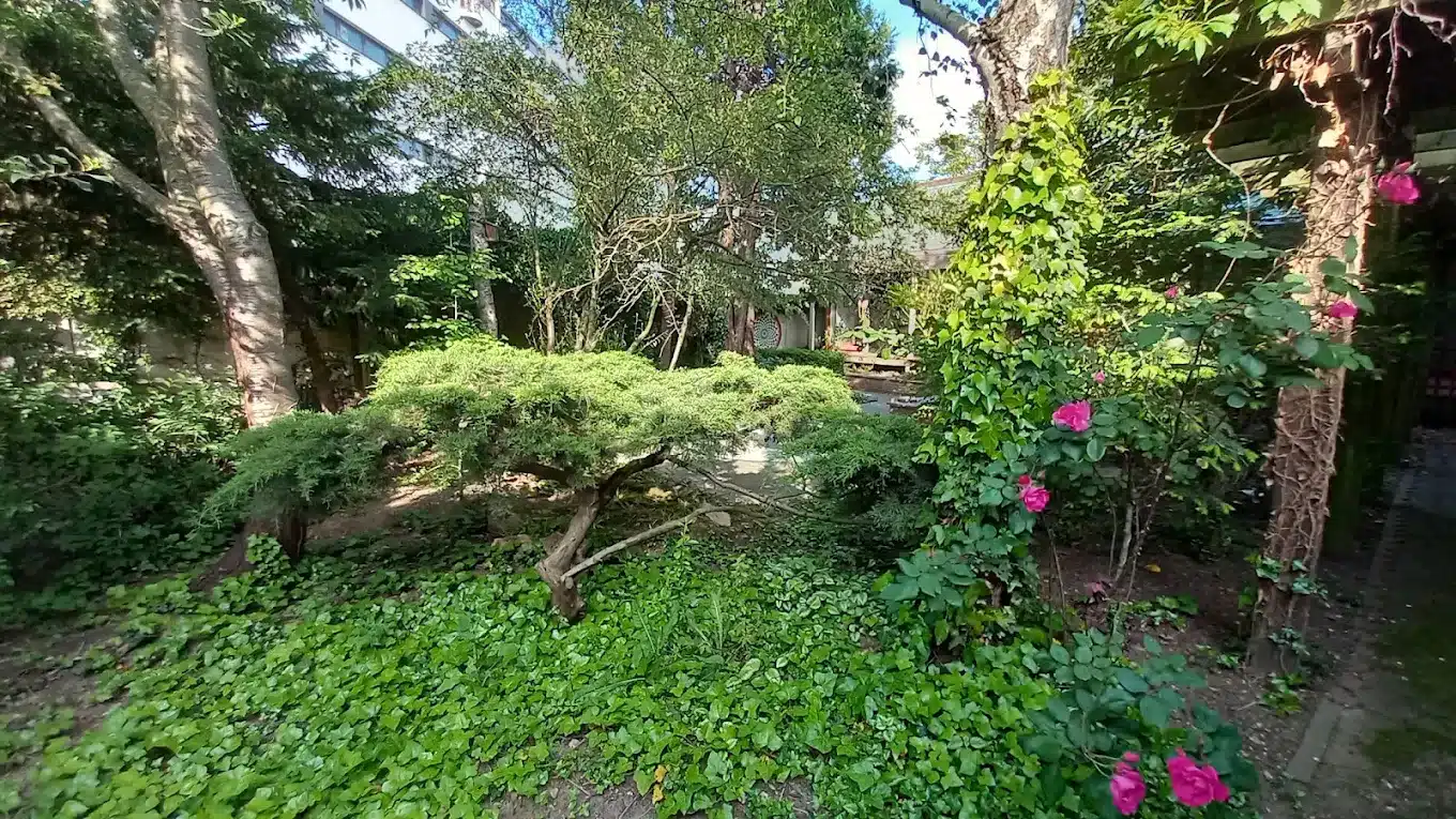 Le jardin intérieur